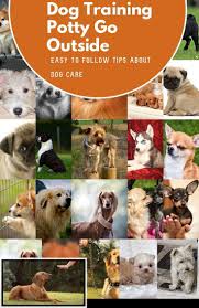 Maybe you would like to learn more about one of these? Train A Dog To Stop Barking At Strangers Barking Dog Dogkenneltrainingtips Stop Stran