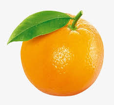 Orange Fruit Orange Fruit Fruit Clipart Fruit Photography Find the best free stock images about orange. orange fruit orange fruit fruit