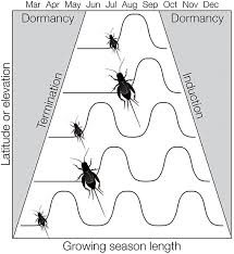 For more news and current pest information. Frontiers Insect Hybridization And Climate Change Ecology And Evolution