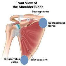 Pin On Shoulder Pain