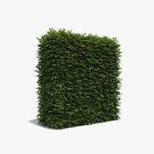 Exterior 100 Cm Boxwood 3d Model Fence Fence Landscaping Fence Design