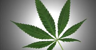 Alaska TV reporter quits