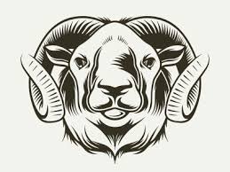 Please fill out the following form to send us a message. Bighorn Sheep Vector Design By Alberto Bernabe On Dribbble