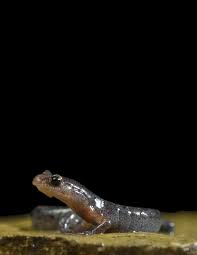 Maybe you would like to learn more about one of these? 2