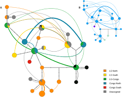 Image result for Staudtia kamerunensis