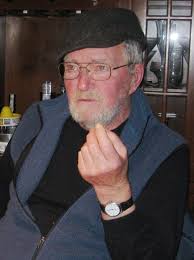 What are the limitations of a maze for a rat?