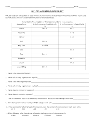 Learn how chromosomes are more than just packaging devices for dna. Diploid And Haploid Worksheet