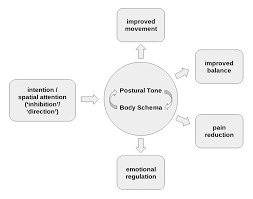 Image result for training effect schema