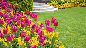 Overseed to improve grass density, fill bare patches and enhance color. Spring Lawn Care Tips How To Revive Your Grass And Get It Looking Tip Top This Year Gardeningetc