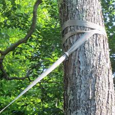 Many homeowners don't have a tree in their yard with branches growing in the right location for in this guide i explain how to hang a swing from a tree with no branches, between two trees, or with angled branches. Tree Swing Hanging Kit Between 2 Trees Wood Tree Swings