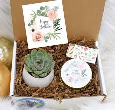 Probably, enough to confuse you. Amazon Com Custom Birthday Gift Birthday Gifti Ideas Birthday Gift For Best Friend Birthday Gift For Her Birthday Gift Live Succulent Gift Box Xbh2 Handmade