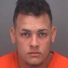 Pinellas Park police: Man, 20, shoots teen who attempted to sell gun, steal  wallet