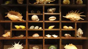 There are lots of fun craft ideas that you could try to add something unusual or interesting to your cabinet. Tips For Curating A Modern Cabinet Of Curiosities Romantic Homes