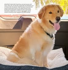 Subject to underwriting guidelines, review and approval. Royal Paws Nationwide Pet Transportation 30 Photos 21 Reviews Pet Transportation Marietta Ga Phone Number Yelp