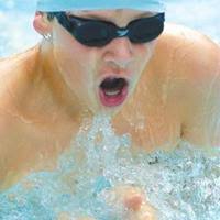 Dolphins Place First in NVSL