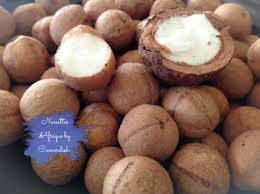 Image result for Coula edulis