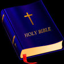 Super igbo and english niv & kjv bible. Igbo Bible For Android Apk Download