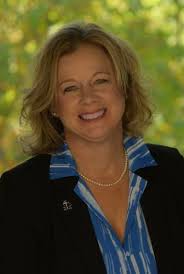 Maze wins Circuit Court's Division 2 seat after tight race