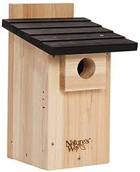 Bird House Kits For Adults Amazon Amazon Com Birdhouses Birds Patio Lawn Garden Bird House Plans Bird House Bird House Kits