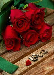 Pin By Carmen Ashcroft On Flower Red Roses Beautiful Flowers Wallpapers Beautiful Red Roses