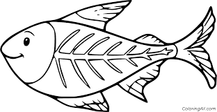 Rainbow fish coloring pages realistic tropical with page pdf. X Ray Fish Coloring Pages Coloringall