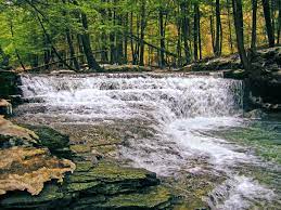 Focal points of the park are the towering old growth hemlock trees, many estimated to be more than 300 years old, and the rocky gorge cut by fall brook with its three waterfalls. Salt Springs State Park Wikipedia