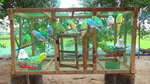 How to build glass bird cage. Budgies Love Birds New Cage Making At Home Small Scale Industries Youtube
