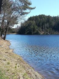 Auf Den Spuren Der Romer Wanderung Von Velden Zum Forstsee Karnten Wanderung See Reisen