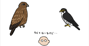 浜松科学館 みらいーら