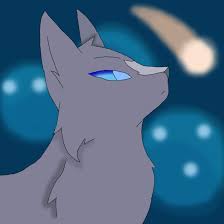 Bluestar Ssswarriorcats Bluestar By Snowfrost02 On Deviantart Warrior Cats Gatos Guerreiros Gato Guerreiro