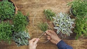 C'est une excellente idée, car séchées, leurs saveurs sont encore plus concentrées. How To Faire Secher Des Herbes Aromatiques Romarin Thym Origan Etc Fooby Youtube