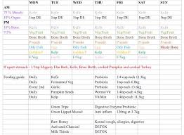 Dog Raw Feeding Barf Meal Plan Raw Dog Food Recipes Dog Raw Diet Raw Feeding For Dogs