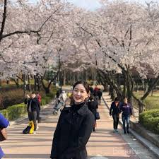 Kebun raya cibodas memiliki taman sakura seluas 6647 meter persegi. Tak Kalah Dengan Jepang Ini 5 Tempat Terbaik Menikmati Cherry Blossom Di Korea