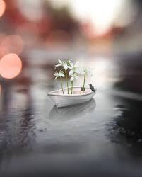 Image May Contain Outdoor And Water Photography Wallpaper Miniature Photography Cool Pictures For Wallpaper