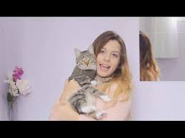2 Dakikada Kedi Kopek Kiyafeti Yapimi I Diy Youtube