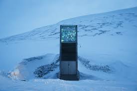 The seed bank is located in an old copper mine on remote northern island of spitsbergen, norway. Norway S Noah S Ark Seed Vault Chalks Up A Million Crop Varieties The Local