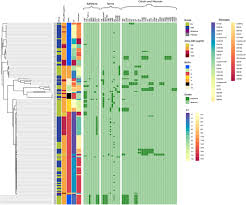Check spelling or type a new query. Frontiers High Zinc Supplementation Of Weaned Piglets Affects Frequencies Of Virulence And Bacteriocin Associated Genes Among Intestinal Escherichia Coli Populations Veterinary Science