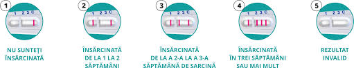 Am modificat articolul ultima data pe: Test De SarcinÄƒ Barza Cu Determinarea SÄƒptÄƒmanii