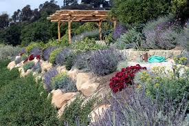 Southern california tree & landscape has been serving southern california since 1991, and is fully licensed by the california contractor's state license board, the california landscape contractor's association, and others. Landscaping Ideas In Southern California Mediterranean Landscape Santa Barbara By Arroyo Seco Construction Houzz