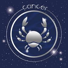 The twelve sections total 360 degrees and together make up the full sky visible from earth during the complete annual orbit of the earth around the sun. Cancer Star Sign Symbol Copy And Paste