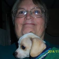 I am looking for an ol'home town veterinarian. Any suggestions?