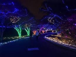 The Lights Are On At Norfolkbotanicalgarden Visitnorfolkva Travel Norfolkva