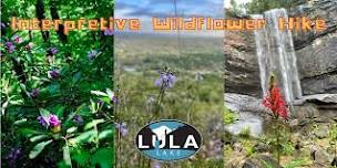Interpretive Wildflower Hike