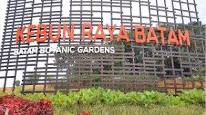 Luasnya mencapai 87 hektar dan memiliki 15.000 jenis koleksi pohon dan tumbuhan. New Kebun Raya Batam Batam Botanical Gardens Tempat Wisata Baru Batam Youtube
