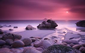 We hope you enjoy our growing collection of hd images to use as a background or home screen for your please contact us if you want to publish an aesthetic beach wallpaper on our site. Pink Beach Wallpapers Top Free Pink Beach Backgrounds Wallpaperaccess