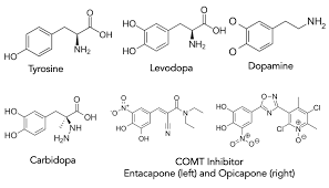 Image result for COMT Inhibitor