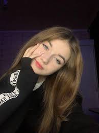 Muskox and Bird Photo Discussion