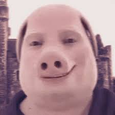 Chanko explains why he attacked Dillon Danis last night: : r/ufc