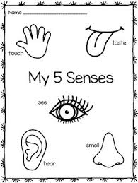 Use this as extra practice, weekly theme, summer learning, or supplement to your homeschool curriculum. Five Senses Coloring Pages By Kristen Davis Teachers Pay Teachers