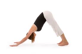 Downward facing dog is a foundation pose for every kind of yoga. Yoga Pose Downward Facing Dog Yogaclassplan Com